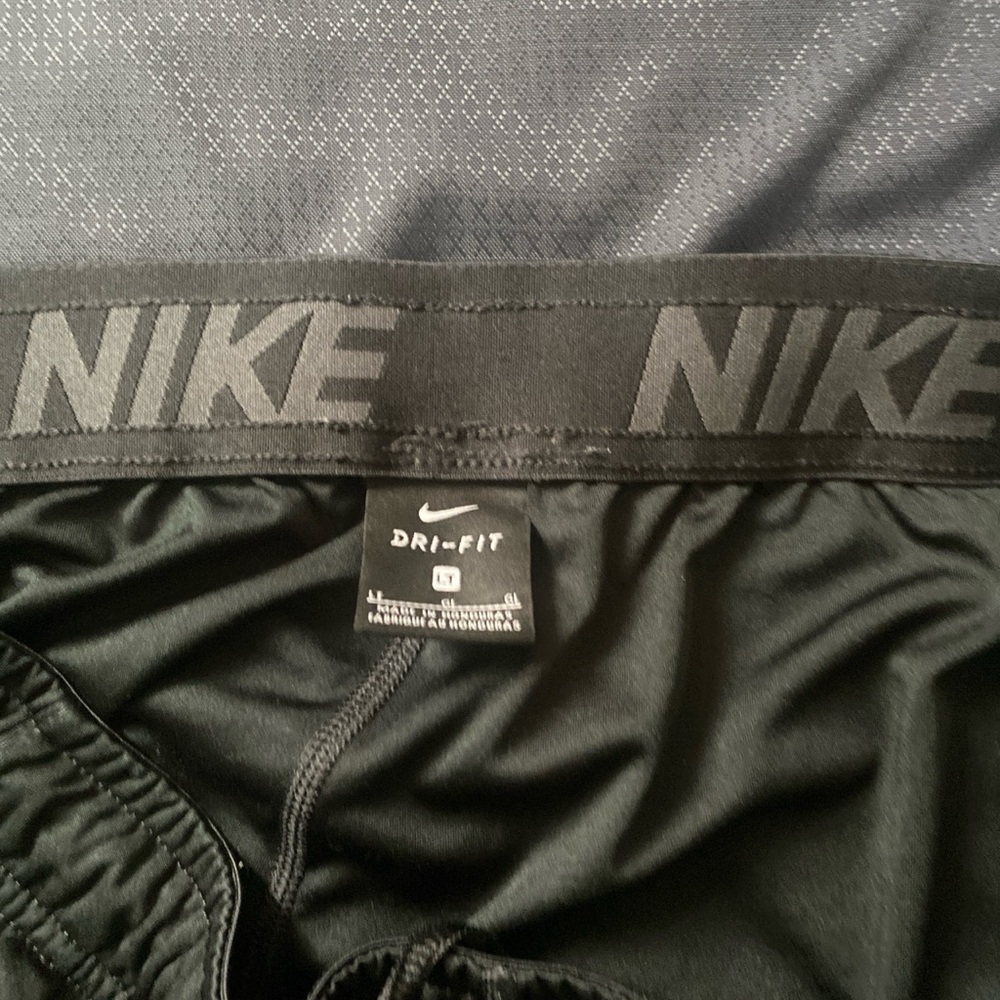 Nike shorts large tall